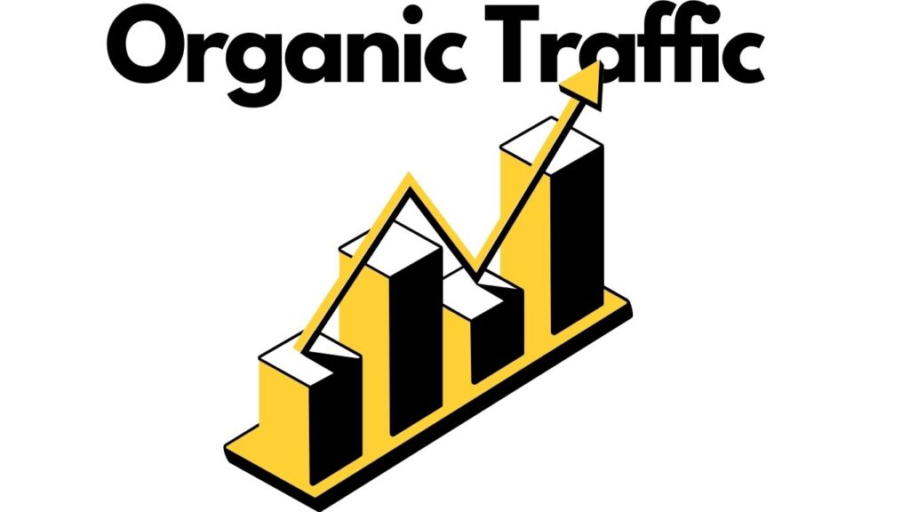 organic traffic to the website seo metrics